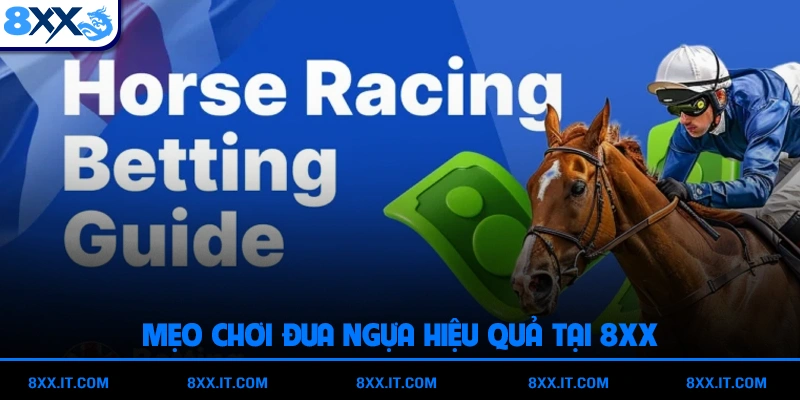 Mẹo chơi đua ngựa hiệu quả tại 8XX
