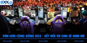Văn Hóa Cộng Đồng 8XX - Kết Nối Và Chia Sẻ Đam Mê Cá Cược